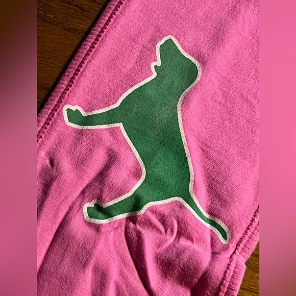 VS PINK ~ “East Division 80 Phi Beta Pink” Scarf {HTF} - Picture 4 of 14